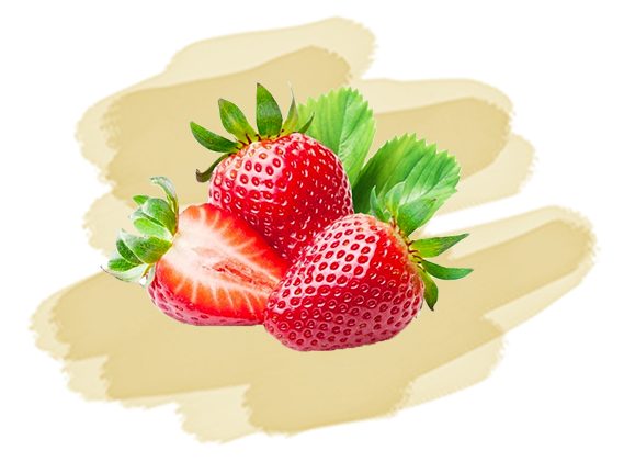 tisane jus t'aime - icône ingrédient eight powers - fraise