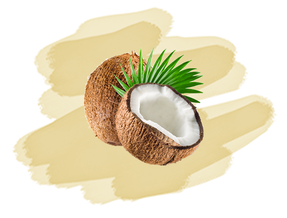 noix de coco